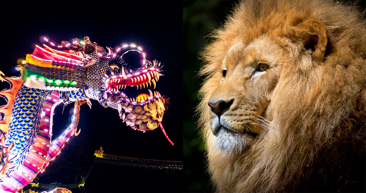 Picture of a chinese dragon and an african lion