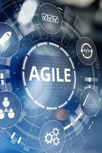 Agile Leadership - Online Programm