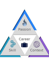 Bild des Career Triangle 