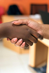 Two people shaking hands