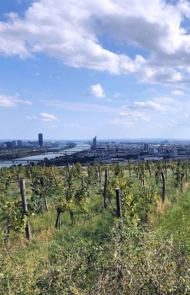 Panoramabild von Wien