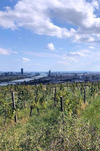 Panoramabild von Wien