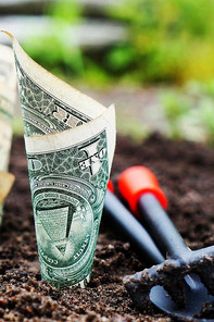 Picture of a dollar bill planted into the ground