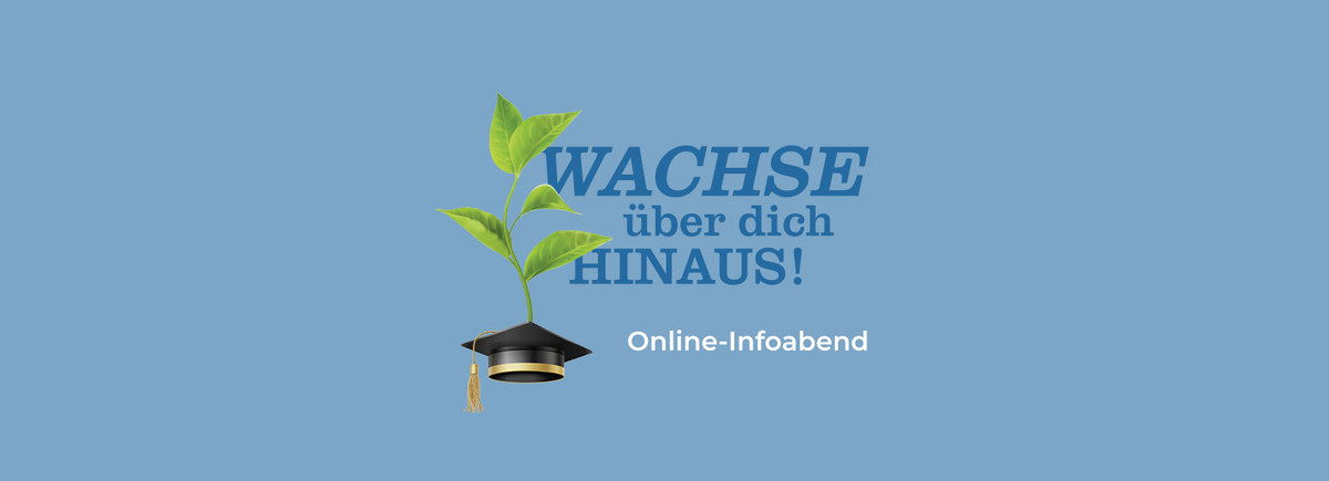 Online-Infoabend: Diplom Betriebswirt*in sowie Marketing & Sales Programme