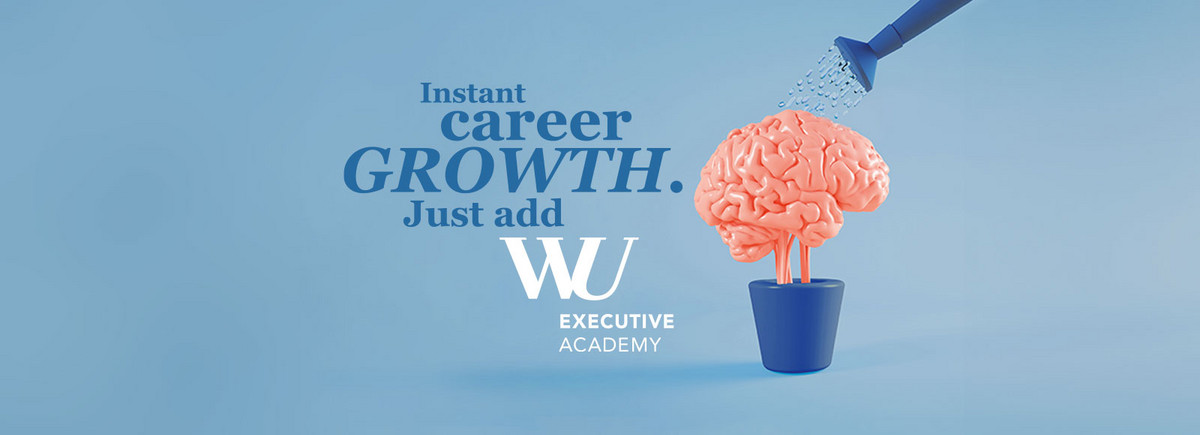 Online Infosession for the Vienna Executive MBA with Specialization Options
