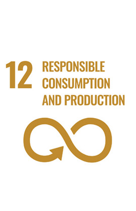 Responsible Consumption and Production