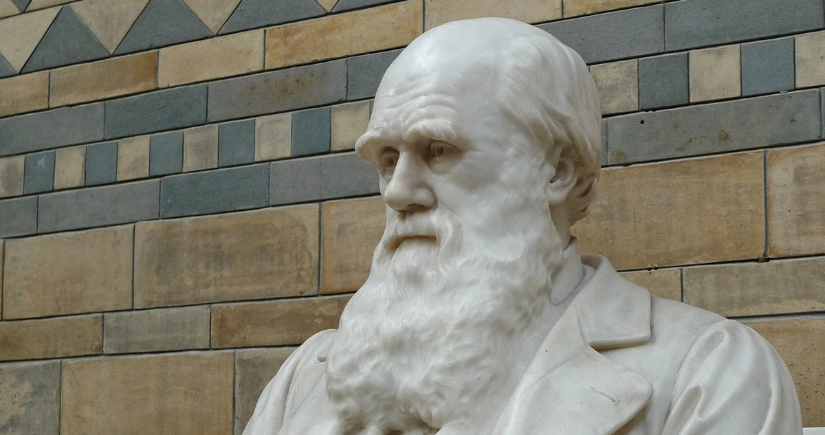 Wäre Darwin ein gute Leader gewesen? Survival oft he Fittest ist im heutigen Business aber eher fehl am Platz. Foto © pixabay – Andrew Martin