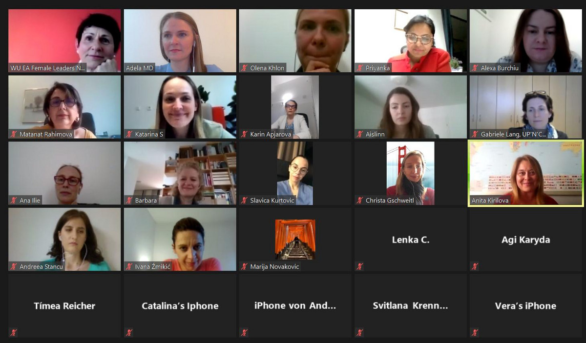 Pic of a video call of the Female Leaders Network