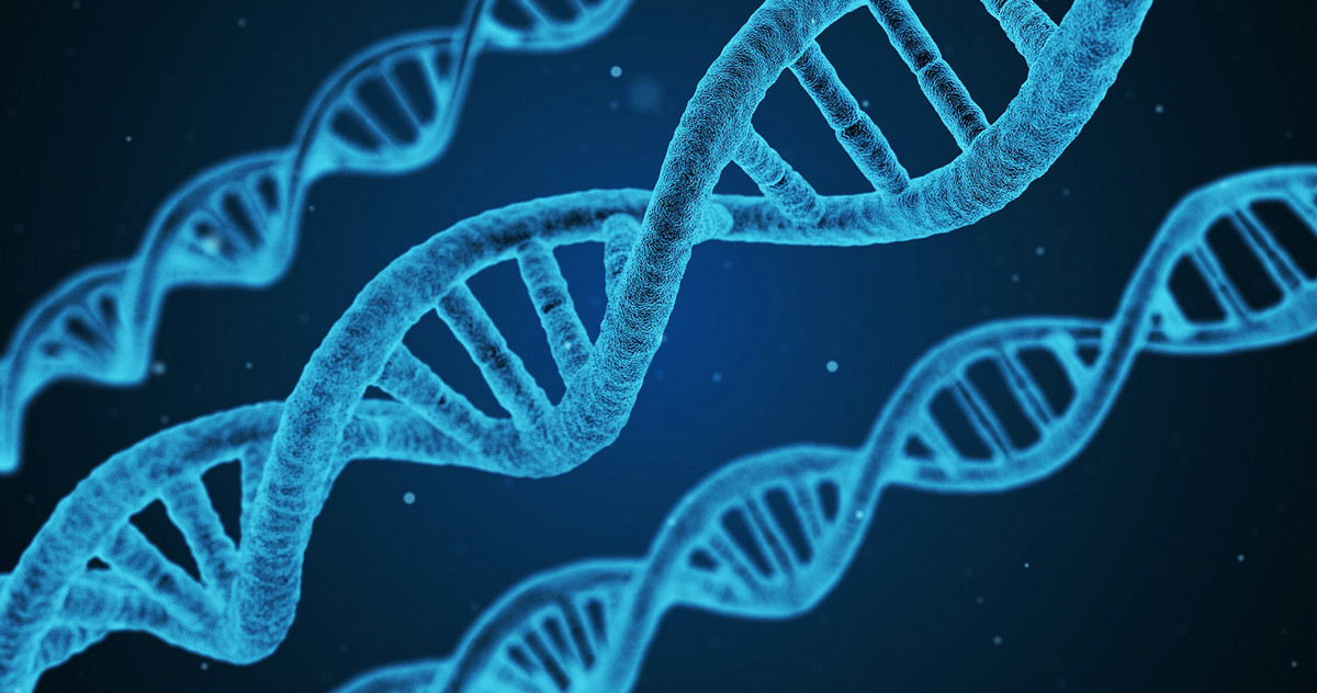 A gene double-helix