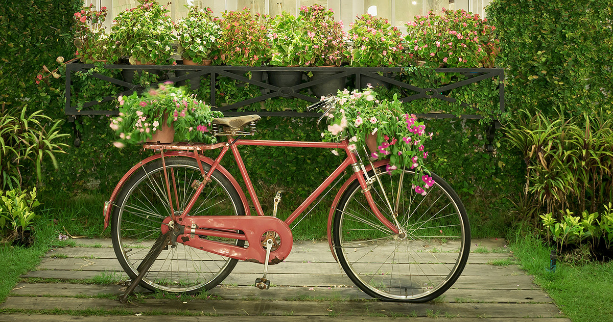 Bild von einem roten Fahrrad